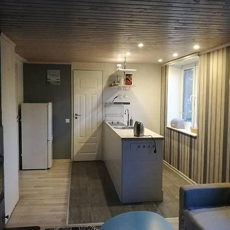 Quiet Place With Garden Studio Apartment 塔林 外观 照片