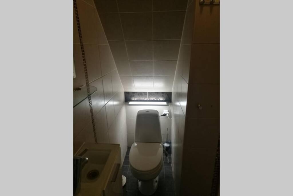 Quiet Place With Garden Studio Apartment 塔林 外观 照片